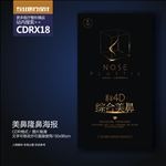 整形美容美鼻隆鼻宣传海报