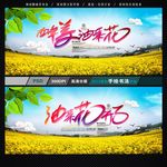 油菜花海报