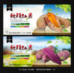 紫薯 红薯