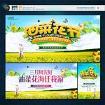 油菜花