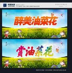油菜花