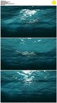 水底阳光