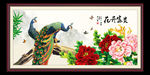 花开富贵 富贵牡丹