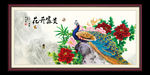 花开富贵 富贵牡丹
