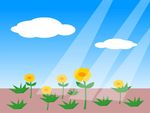 太阳照射草地5秒
