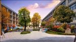 学校景观秋天