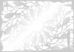 银光闪耀 加盟证书纹