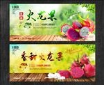 火龙果