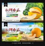 黄金瓜
