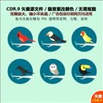 卡通可爱动物小鸟猫头鹰矢量图