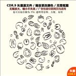 手绘坚果干果杏仁矢量素材