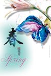 春暖花开