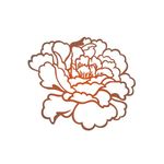 牡丹花