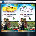 新疆特产 家产品