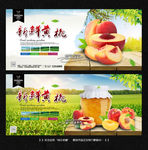 水蜜桃 黄桃