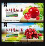 蔓越莓