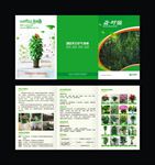 绿植三折页  花店广告