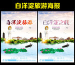 白洋淀