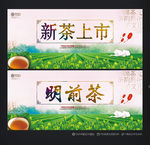 新茶上市