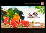 血橙