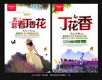 丁香花