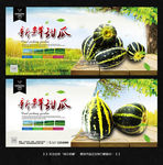 绿皮甜瓜