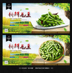 毛豆