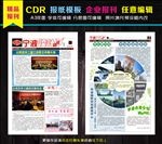 报纸