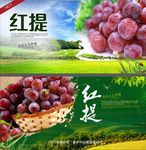 红提