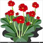 花朵矢量图
