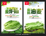 油麦