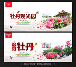 牡丹