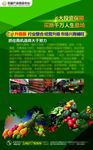 绿底宣传单金字展板设计