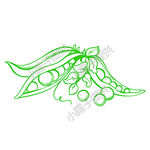 豌豆