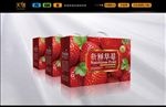 草莓包装(平面图)