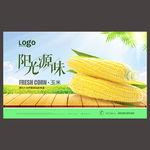 玉米