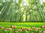 竹林背景墙