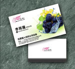 葡萄名片