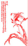 兰花矢量线条图