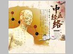 中医经络