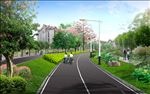 校园道路景观绿化效果图