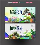 盆景花卉