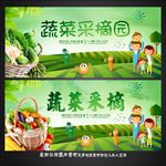 蔬菜采摘