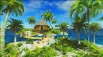 夏日椰岛风情视频
