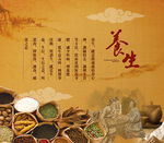 黄帝内经 养生馆