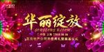 绽放