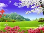 清新简约树木草地