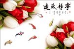 宁静致远郁金香电视背景