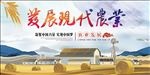 发展现代农业