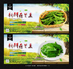 荷兰豆